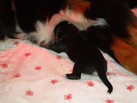 DSCN0928.jpg
