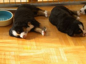 DSCN1051.jpg